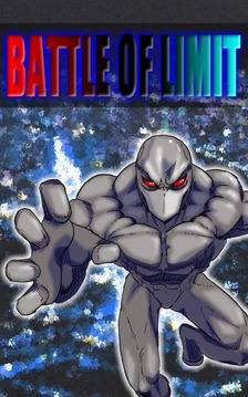 BATTLE OF LIMIT游戲截圖1