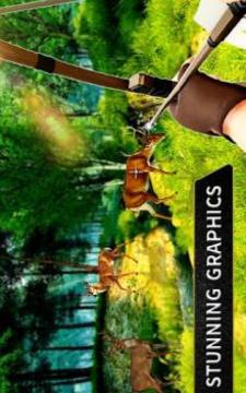 Wild Animal Archery Hunter Bird Shooting Game游戲截圖4