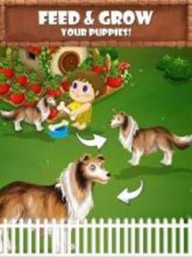 Puppy Care游戲截圖1