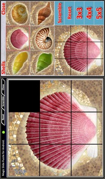 Magic Slide Puzzle Shells游戲截圖3