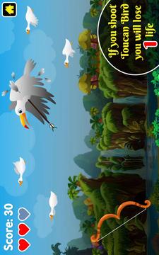 Duck Hunting : King of Archery Hunting Games游戏截图3