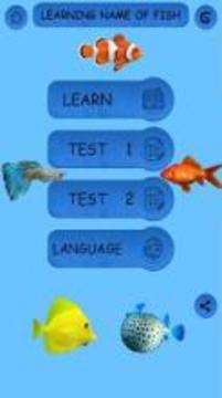 Learning Name Of Fishes - practice, test, sound游戏截图4