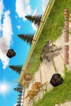 Wild Animal: Extreme Ramp Racing游戲截圖1