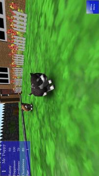 Cute Pocket Puppy 3D游戲截圖3
