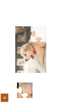 Jigsaw Puzzles: Dogs and Puppies游戲截圖1