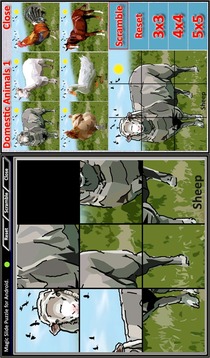 Magic Slide Puzzle D.Animals1游戲截圖1