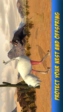 Ostrich Bird Simulator 3D游戲截圖2