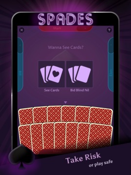 Spades Offline游戲截圖5