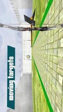 Archery Bow Shooting Challenge游戲截圖1