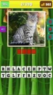 safari animals quiz游戲截圖3