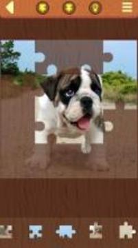 Dog Puzzles游戲截圖2