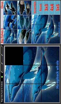 Magic Slide Puzzle B Fishes 1游戲截圖2