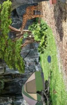 Escape Puzzle: Wildlife Park游戲截圖1