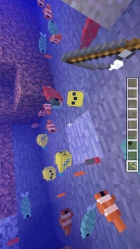 Mod Fishes 2018 for MCPE游戏截图3