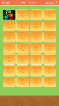 Birds Memory Match Game游戲截圖5