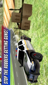 Police Car Chase Offroad游戏截图2