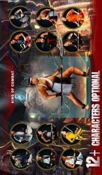 King of Combat:Kungfu fighter游戲截圖2