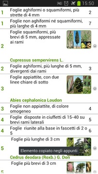 Caccia Tesoro Villa Torlonia游戲截圖3