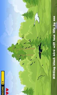 Birds hunting游戲截圖4