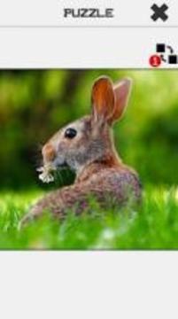 Easter Slide Puzzle游戲截圖4