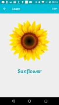 Flowers - Learn, Spell, Quiz, Draw, Color & Games游戲截圖3