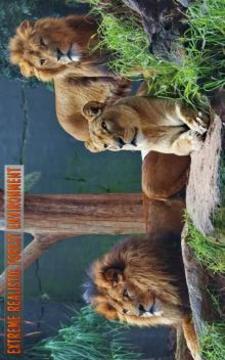 參觀動物叢林探險游戲截圖1