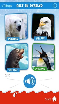 Kinder Zoo游戲截圖3