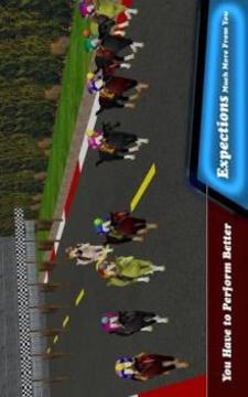 Racing Horse Jump 2017游戲截圖4