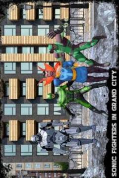 Real Grand Heroes Sonic Fighter 2018游戲截圖2