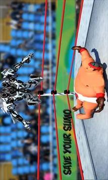 Real robot Ring Sumo Wrestling Revolution Battle游戲截圖2
