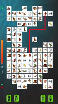 Pikachu Real Animals游戲截圖4