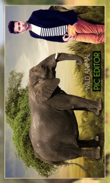 Wild Animal Photo Editor - Animal Photo Frames游戲截圖2