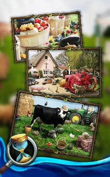 Hidden Mystery: Farm Secrets游戲截圖4