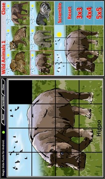 Magic Slide Puzzle W.Animals 1游戲截圖5