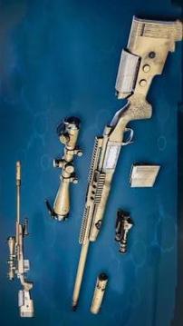 Sniper Shooting Arena FPS Frontline Elite Commando游戲截圖2