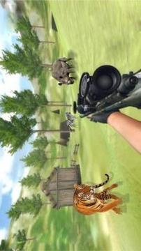 Animal shooting hunter game游戲截圖3