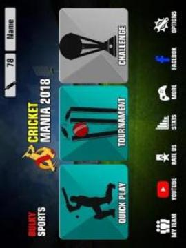 Cricket World Cup Tournament 2018: Real PRO Sports游戲截圖1