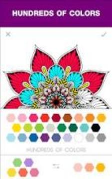 Adult Coloring Books Color By Number游戲截圖4