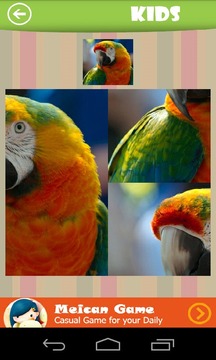 Tiled Picture Game - Animal游戲截圖2