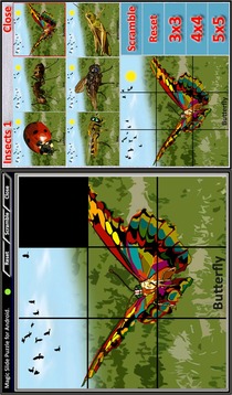 Magic Slide Puzzle Insects 1游戲截圖4