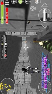 Cube Battleground Survival FPS游戏截图3