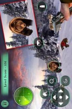 Animal hunting wild bear Sniper Shooter游戲截圖2