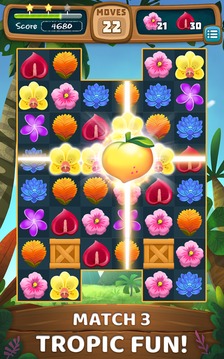 Blossom Blitz Tropic游戲截圖2