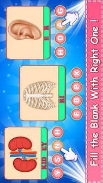 Learn Human Body Parts For Kids游戲截圖4
