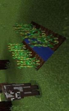 Minion MCPE游戲截圖1