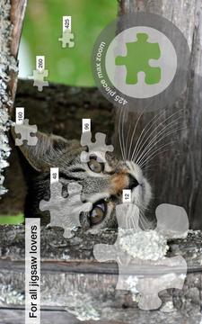 Cute Cats Jigsaw Puzzles游戲截圖2
