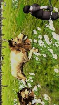 Wild Animals Hunting Archery游戲截圖5