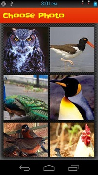 Puzzle Game: Bird Puzzle游戲截圖4