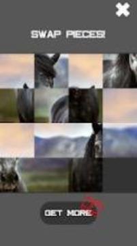 Horse Slide Puzzle游戲截圖1