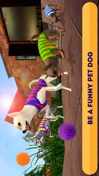 Chihuahua Simulator 3D游戏截图1